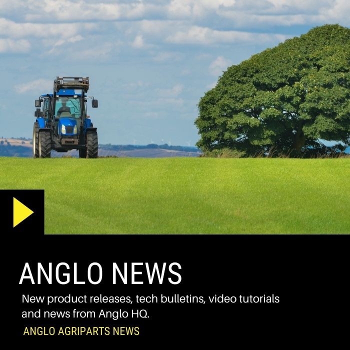 Anglo News